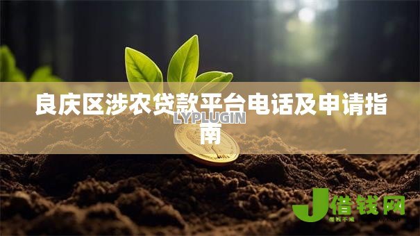 良庆区涉农贷款平台电话及申请指南