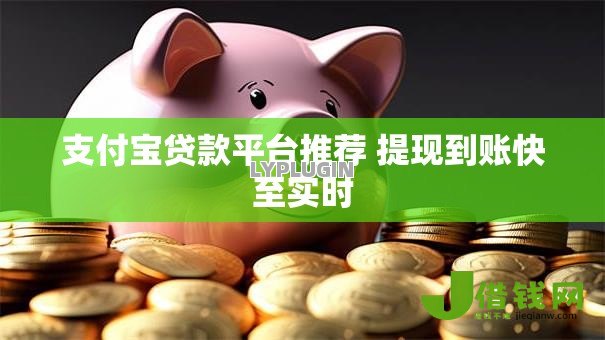 支付宝贷款平台推荐 提现到账快至实时 支付宝贷款平台推荐 提现到账快至实时