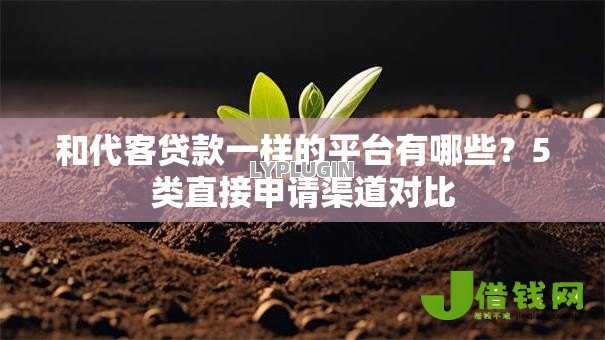 和代客贷款一样的平台有哪些?5类直接申请渠道对比 和代客贷款一样的平台有哪些?5类直接申请渠道对比