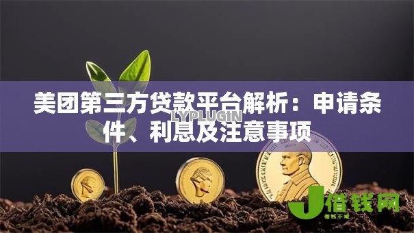 美团第三方贷款平台解析：申请条件、利息及注意事项