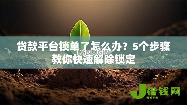 贷款平台锁单了怎么办?5个步骤教你快速解除锁定 贷款平台锁单了怎么办?5个步骤教你快速解除锁定