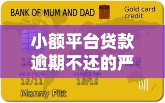 小额平台贷款逾期不还的严重后果及应对策略 小额平台贷款逾期不还的严重后果及应对策略