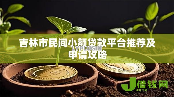 吉林市民间小额贷款平台推荐及申请攻略 吉林市民间小额贷款平台推荐及申请攻略