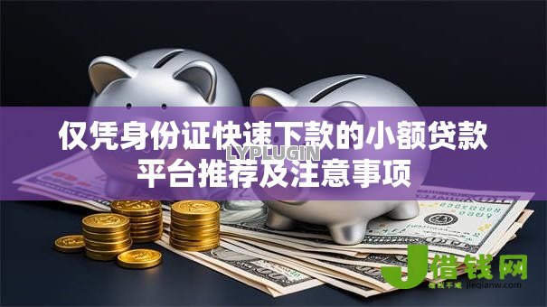 仅凭身份证快速下款的小额贷款平台推荐及注意事项 仅凭身份证快速下款的小额贷款平台推荐及注意事项