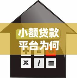小额贷款平台为何贷不出钱？这5大原因要警惕