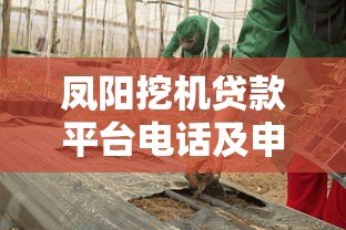 凤阳挖机贷款平台电话及申请全攻略