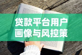 贷款平台用户画像与风控策略深度解析 贷款平台用户画像与风控策略深度解析