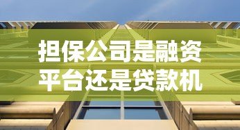 担保公司是融资平台还是贷款机构?一文解析区别 担保公司是融资平台还是贷款机构?一文解析区别