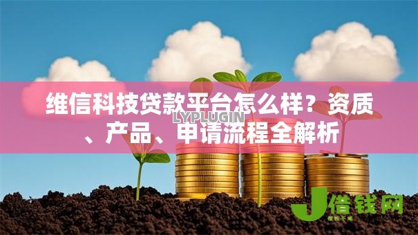 维信科技贷款平台怎么样？资质、产品、申请流程全解析