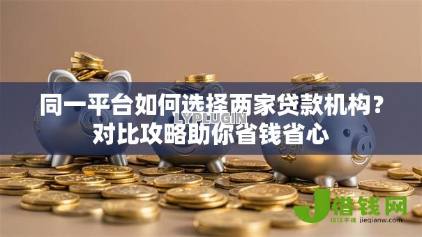 同一平台如何选择两家贷款机构？对比攻略助你省钱省心