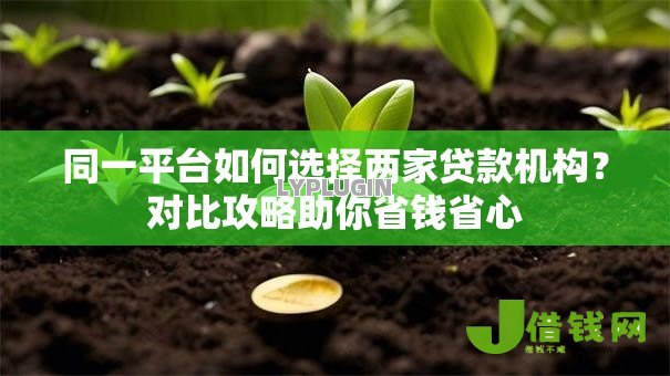 同一平台如何选择两家贷款机构？对比攻略助你省钱省心