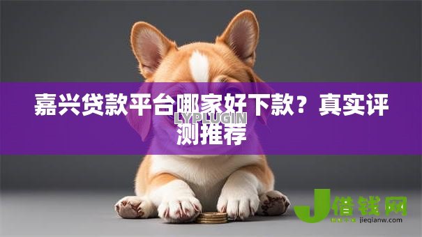 嘉兴贷款平台哪家好下款？真实评测推荐