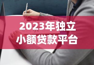 2023年独立小额贷款平台Top10排名及选择指南 2023年独立小额贷款平台Top10排名及选择指南