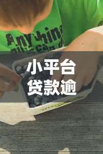 小平台贷款逾期一个月后果及应对策略
