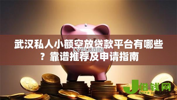 武汉私人小额空放贷款平台有哪些?靠谱推荐及申请指南 武汉私人小额空放贷款平台有哪些?靠谱推荐及申请指南
