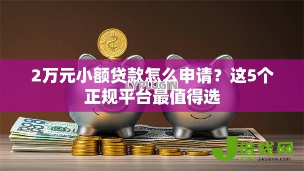 2万元小额贷款怎么申请？这5个正规平台最值得选