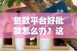 贷款平台好批款怎么办?这份避坑指南请收好 贷款平台好批款怎么办?这份避坑指南请收好