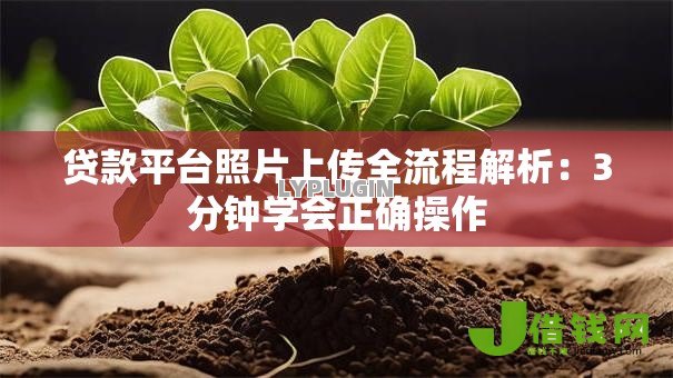 贷款平台照片上传全流程解析:3分钟学会正确操作 贷款平台照片上传全流程解析:3分钟学会正确操作