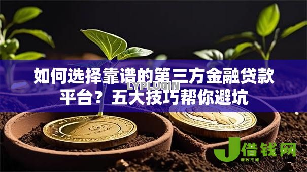 如何选择靠谱的第三方金融贷款平台?五大技巧帮你避坑 如何选择靠谱的第三方金融贷款平台?五大技巧帮你避坑