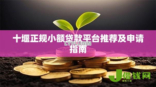 十堰正规小额贷款平台推荐及申请指南 十堰正规小额贷款平台推荐及申请指南