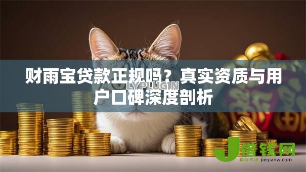 财雨宝贷款正规吗?真实资质与用户口碑深度剖析 财雨宝贷款正规吗?真实资质与用户口碑深度剖析