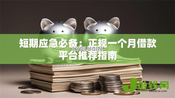 短期应急必备：正规一个月借款平台推荐指南
