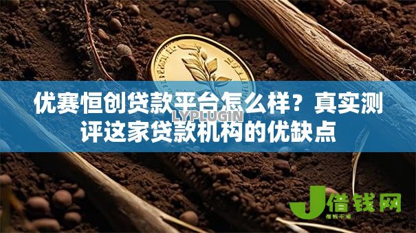 优赛恒创贷款平台怎么样?真实测评这家贷款机构的优缺点 优赛恒创贷款平台怎么样?真实测评这家贷款机构的优缺点
