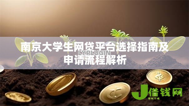 南京大学生网贷平台选择指南及申请流程解析 南京大学生网贷平台选择指南及申请流程解析