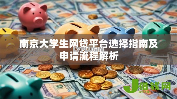 南京大学生网贷平台选择指南及申请流程解析 南京大学生网贷平台选择指南及申请流程解析