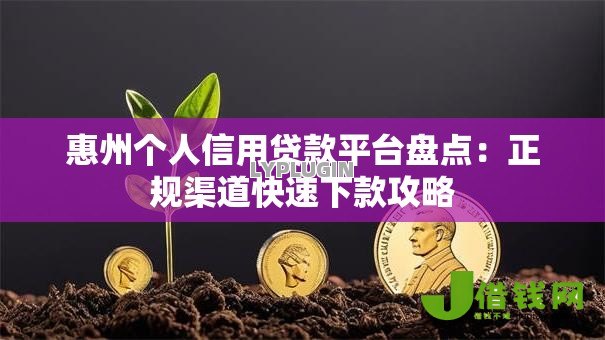 惠州个人信用贷款平台盘点:正规渠道快速下款攻略 惠州个人信用贷款平台盘点:正规渠道快速下款攻略