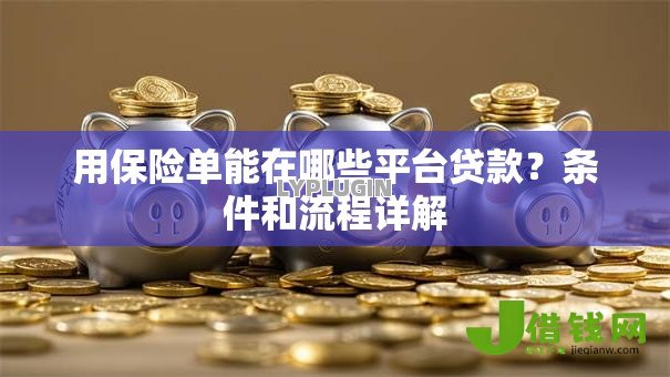 用保险单能在哪些平台贷款?条件和流程详解 用保险单能在哪些平台贷款?条件和流程详解