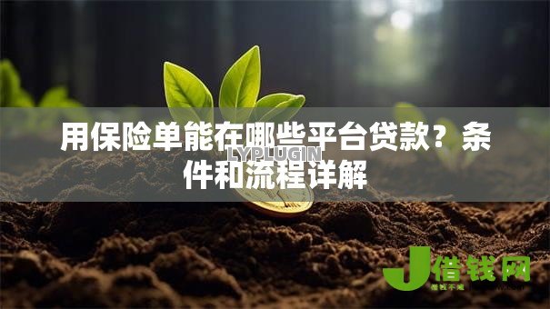 用保险单能在哪些平台贷款?条件和流程详解 用保险单能在哪些平台贷款?条件和流程详解