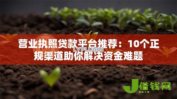 营业执照贷款平台推荐:10个正规渠道助你解决资金难题 营业执照贷款平台推荐:10个正规渠道助你解决资金难题