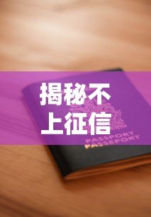 揭秘不上征信的贷款平台:大平台安全借款指南 揭秘不上征信的贷款平台:大平台安全借款指南