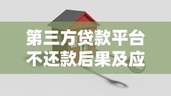 第三方贷款平台不还款后果及应对策略全解析