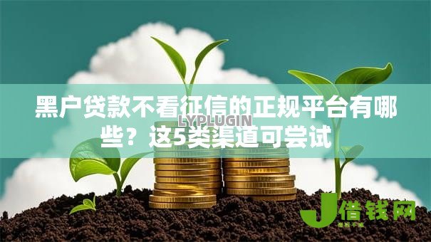 黑户贷款不看征信的正规平台有哪些?这5类渠道可尝试 黑户贷款不看征信的正规平台有哪些?这5类渠道可尝试