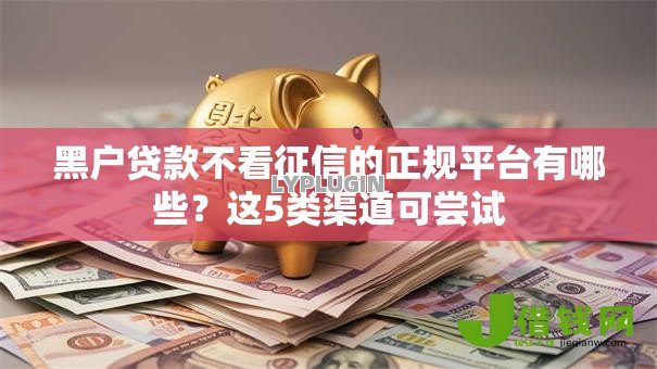黑户贷款不看征信的正规平台有哪些?这5类渠道可尝试 黑户贷款不看征信的正规平台有哪些?这5类渠道可尝试