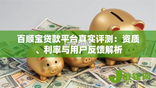 百顺宝贷款平台真实评测：资质、利率与用户反馈解析