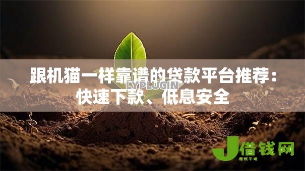 跟机猫一样靠谱的贷款平台推荐:快速下款、低息安全 跟机猫一样靠谱的贷款平台推荐:快速下款、低息安全