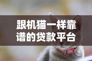 跟机猫一样靠谱的贷款平台推荐:快速下款、低息安全 跟机猫一样靠谱的贷款平台推荐:快速下款、低息安全