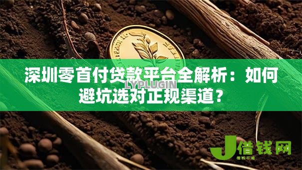 深圳零首付贷款平台全解析：如何避坑选对正规渠道？
