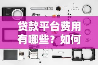 贷款平台费用有哪些?如何计算和节省成本 贷款平台费用有哪些?如何计算和节省成本