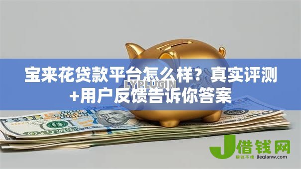 宝来花贷款平台怎么样？真实评测+用户反馈告诉你答案