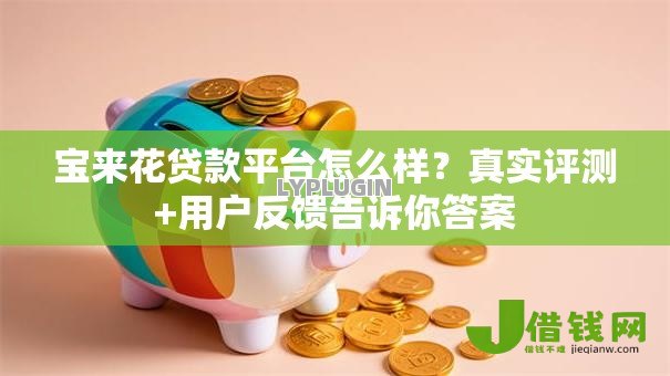 宝来花贷款平台怎么样？真实评测+用户反馈告诉你答案