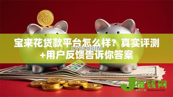 宝来花贷款平台怎么样？真实评测+用户反馈告诉你答案