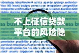 不上征信贷款平台的风险隐患与应对指南 不上征信贷款平台的风险隐患与应对指南