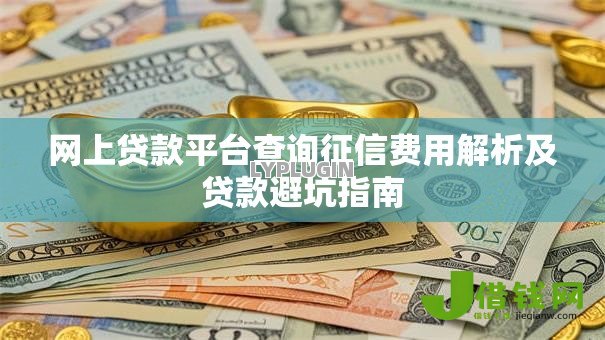 网上贷款平台查询征信费用解析及贷款避坑指南