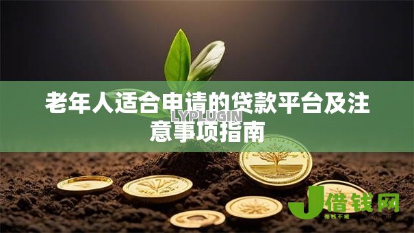 老年人适合申请的贷款平台及注意事项指南