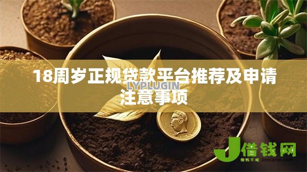 18周岁正规贷款平台推荐及申请注意事项