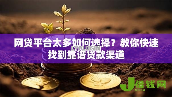 网贷平台太多如何选择？教你快速找到靠谱贷款渠道